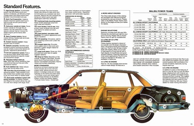 1979 Chevrolet Malibu-12-13.jpg